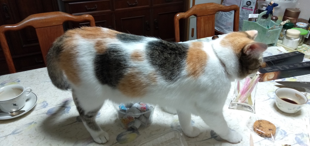 IMG20191013171912