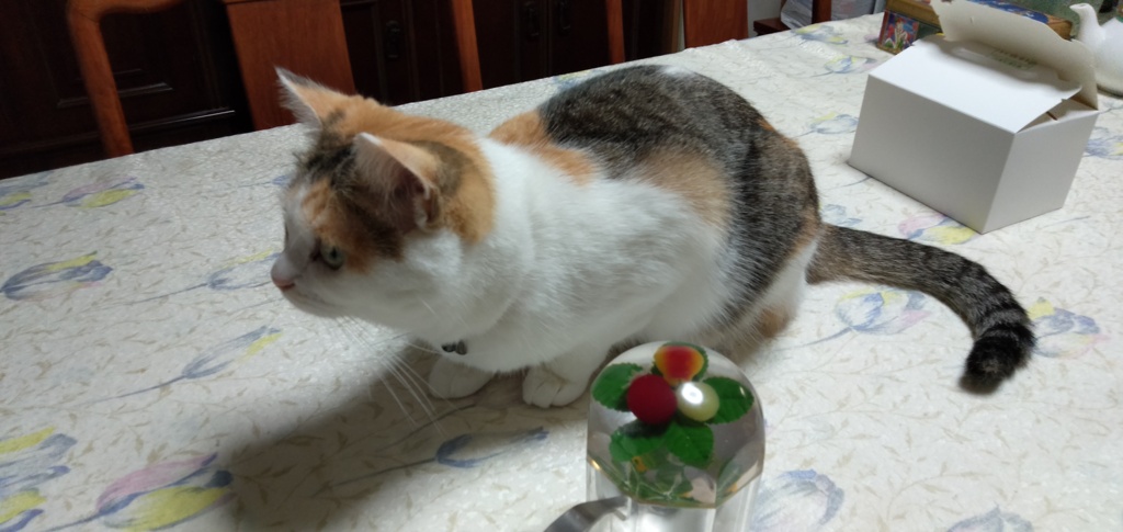 IMG20191014095305