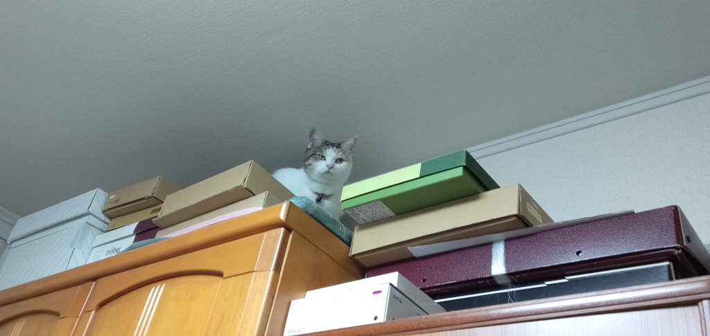 IMG20191012183937