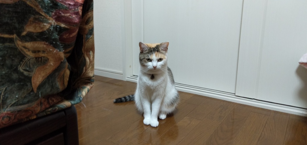 IMG20191013172426