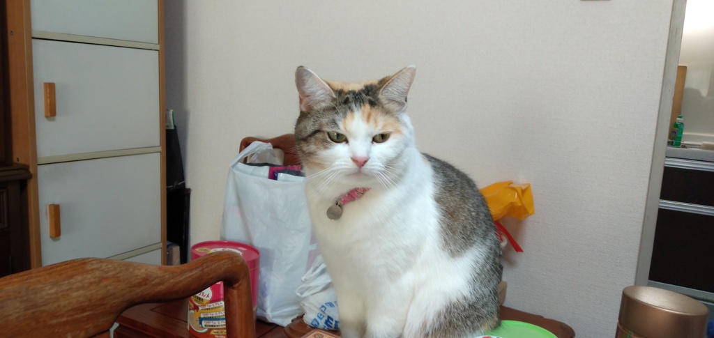 IMG20200113094641