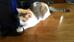 P_20180819_093931_LL