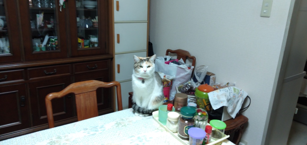 IMG20200101152303