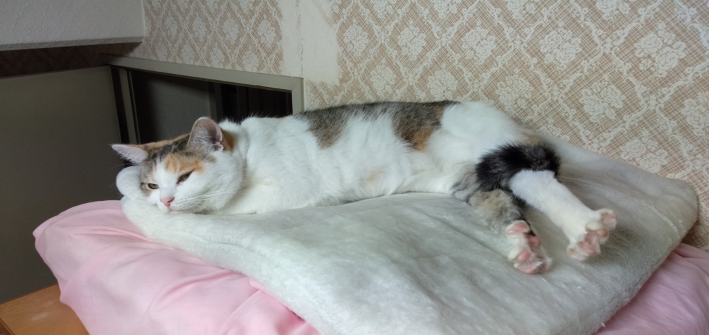 IMG20191102190721