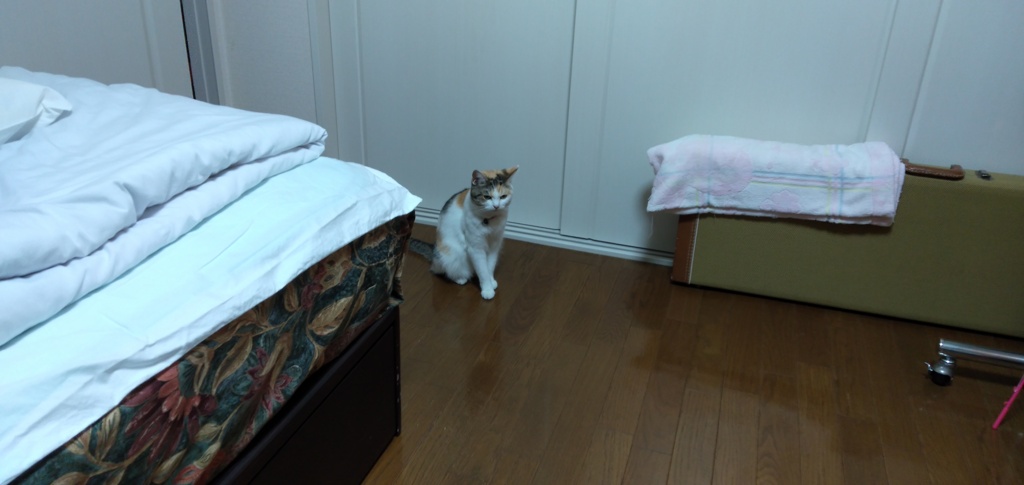 IMG20190914200924