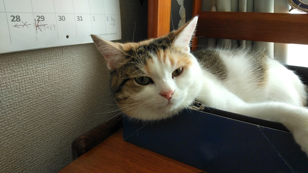 IMG20191013130248