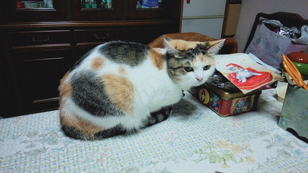 IMG20200308083219