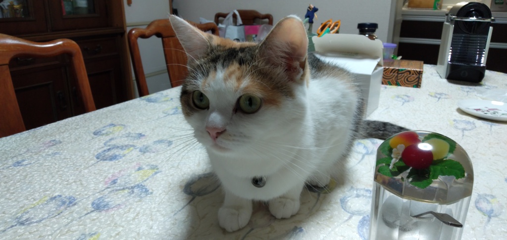IMG20191014095312