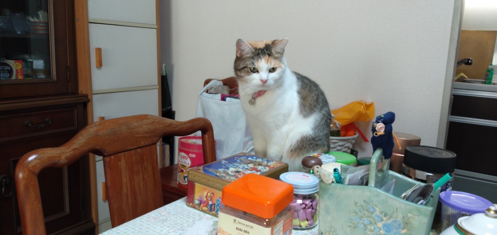 IMG20200113094635