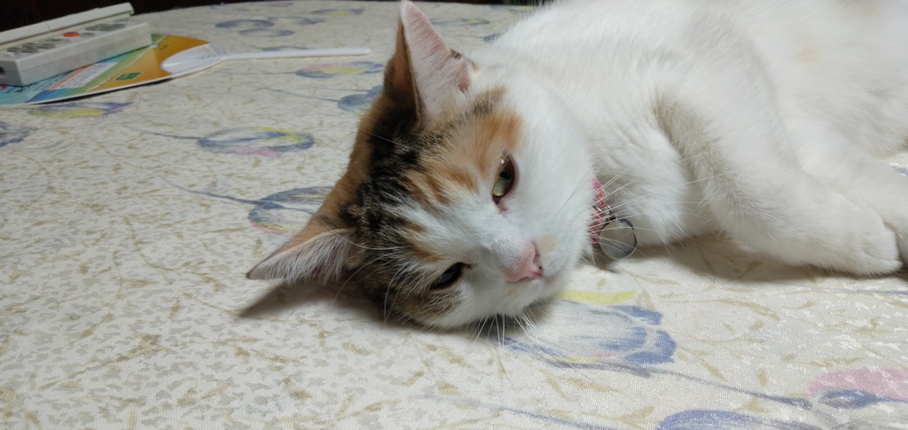 IMG20190814225205