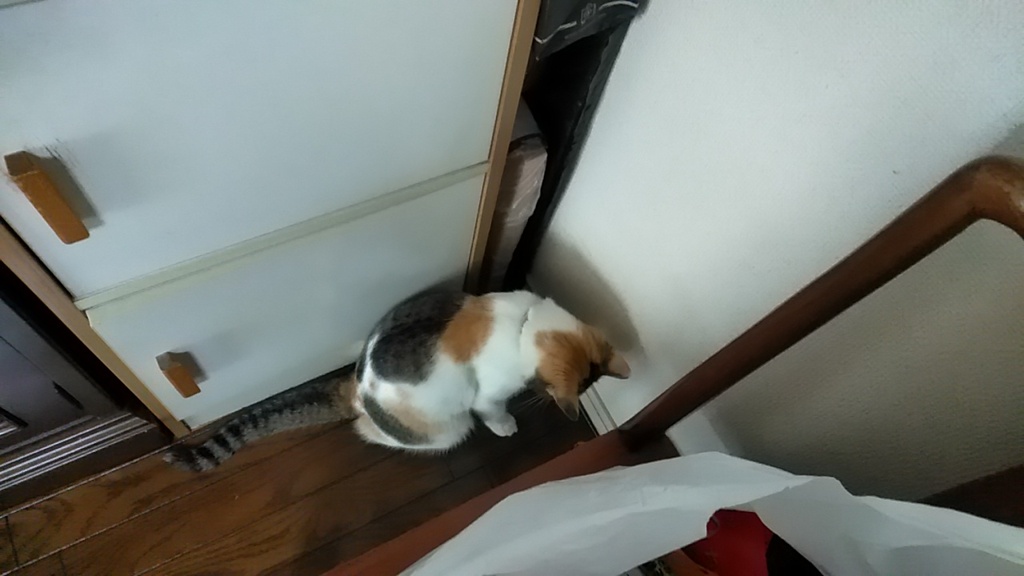 IMG20191013120636