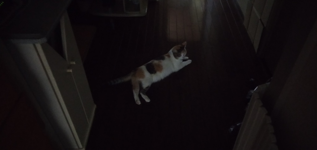 IMG20190814173748