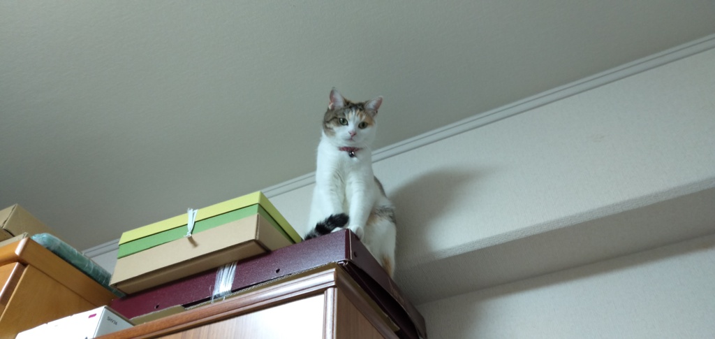 IMG20190814181456