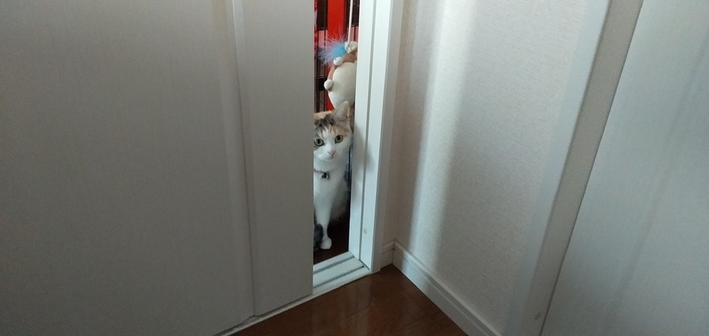 IMG20190505090150