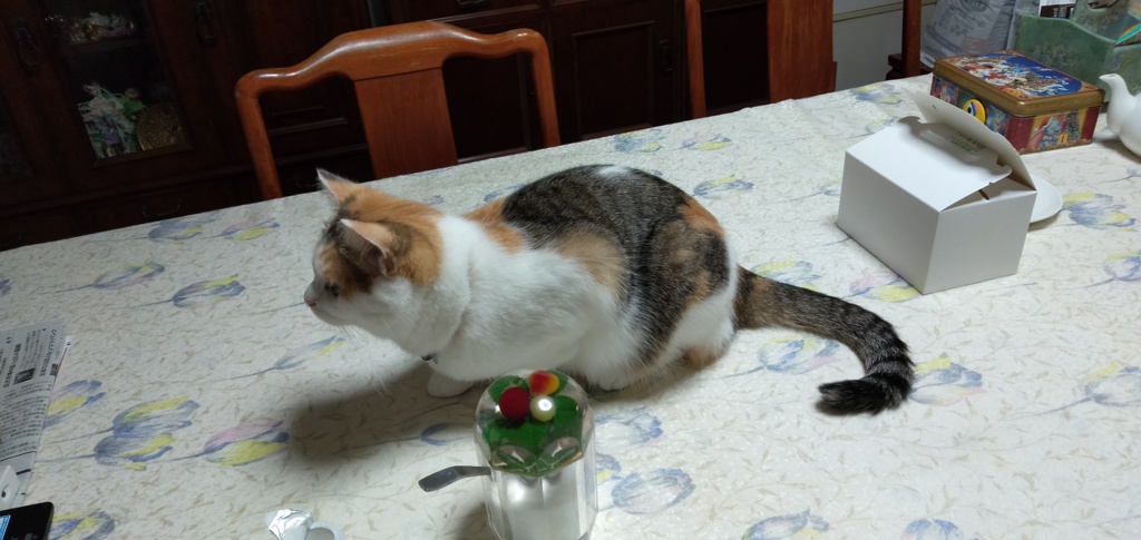 IMG20191014095326