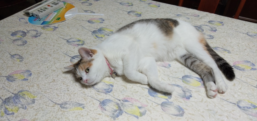 IMG20190814225203
