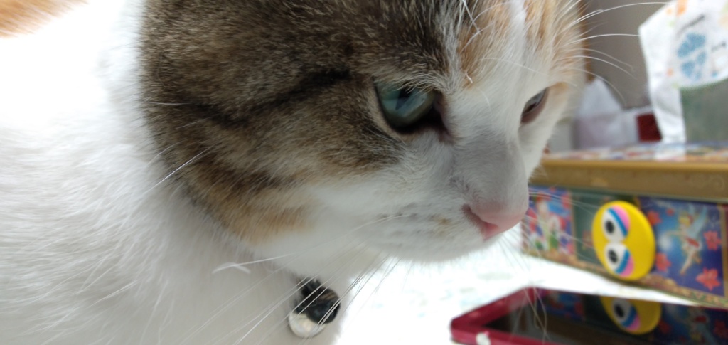 IMG20190329220824