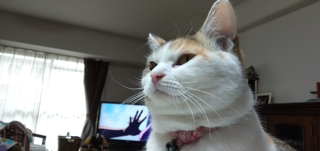 IMG20190303093558