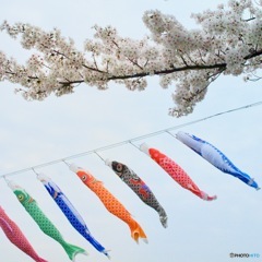桜と共に