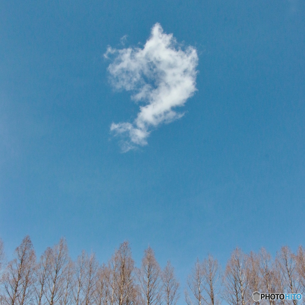ポッカリと