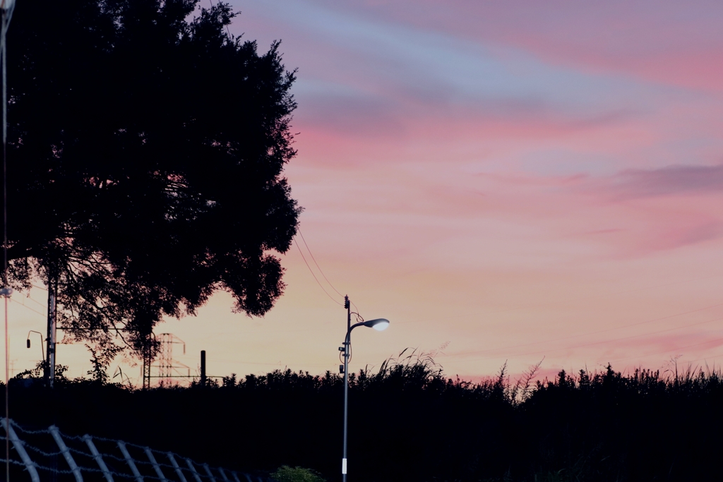 ある日の夕方