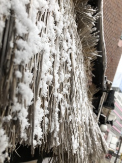 雪