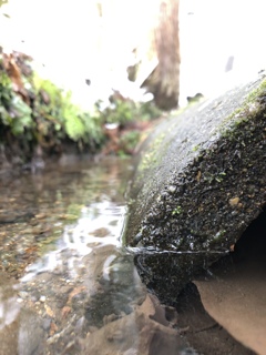 川