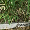 これ、かなりキケン！
