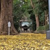 五社神社：参道と拝殿