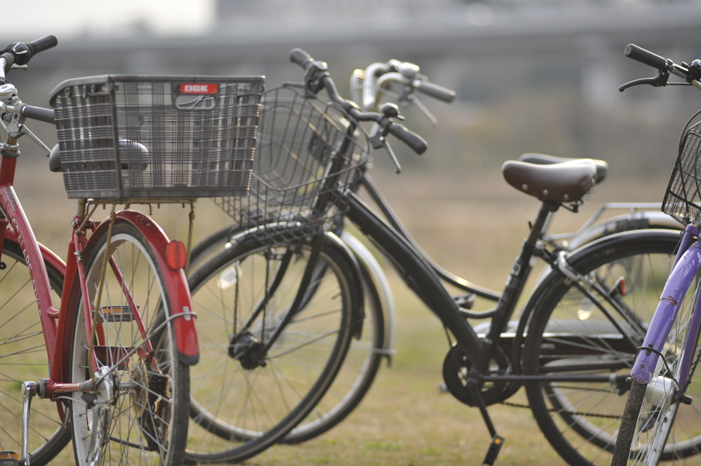 集まった自転車