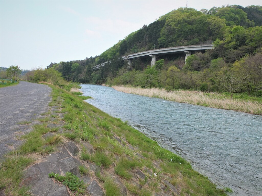 川と高架橋