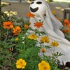 植物園のハロウィン：06