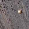 石碑にひっつくモノ。