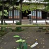 常福寺：裏門からの景色