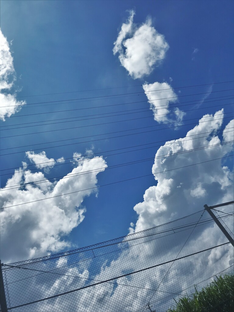 暑さこそ夏ですが、もうこういう雲は見かけませんね。