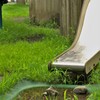 いたずら小僧の仕業？