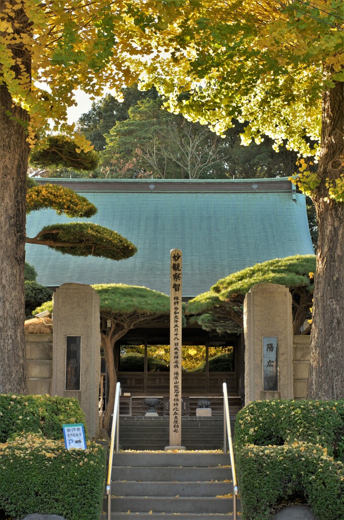 報恩寺：参道