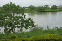 北上川だと思います。