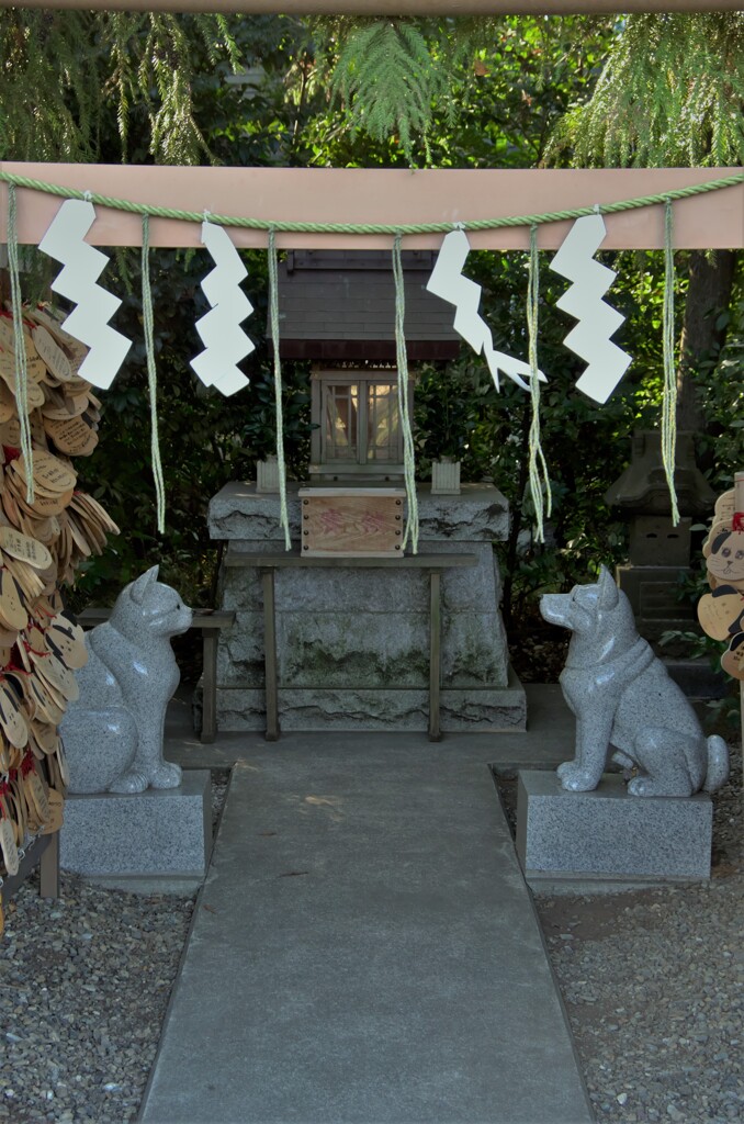 座間神社：伊奴寝子社（いぬねこしゃ）