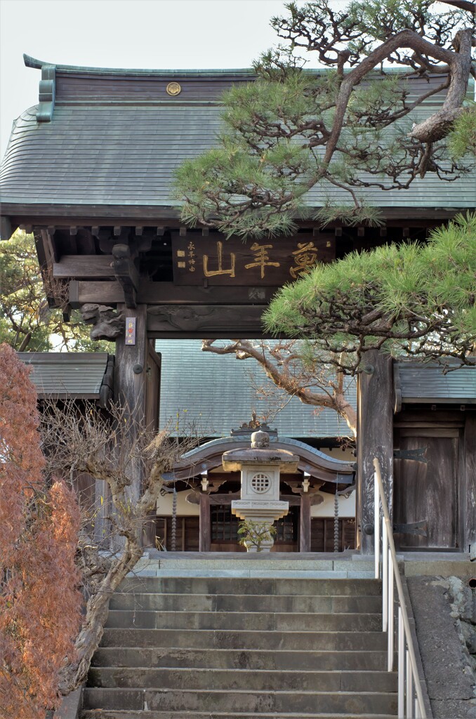長松寺：山門より