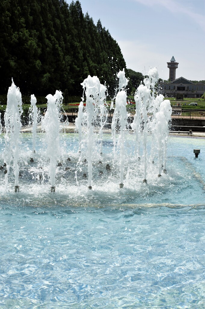 公園：噴水