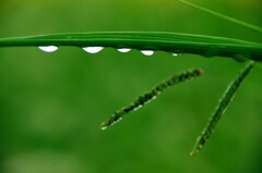 豪雨のあと