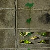 ブロック塀