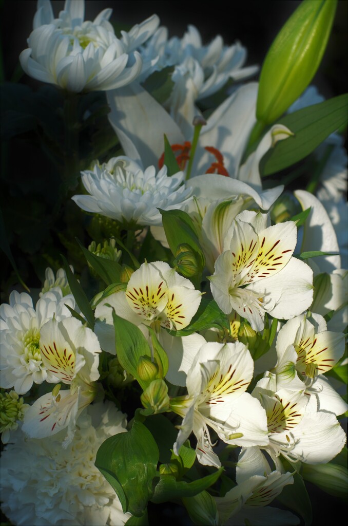 長松寺：生花