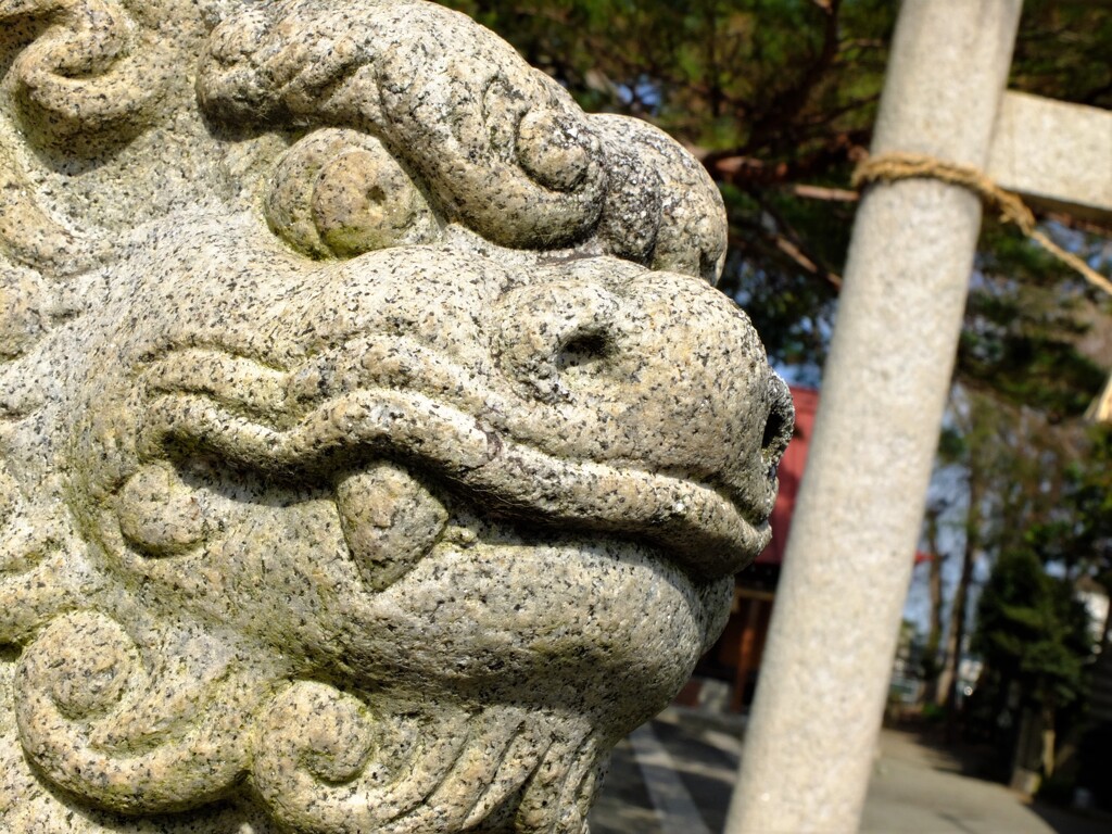 狛犬さん