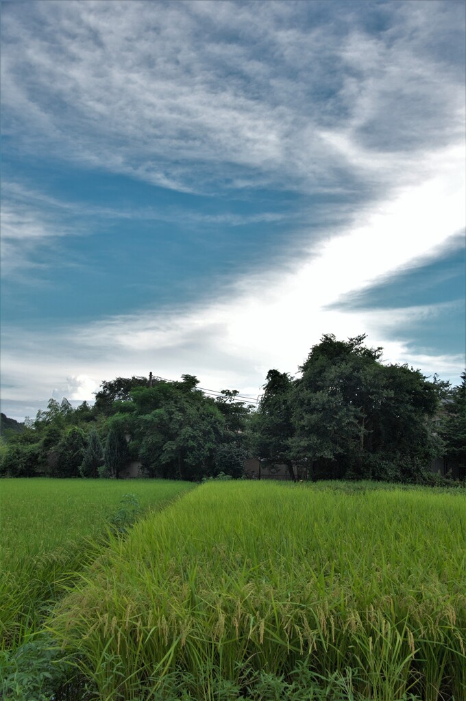 秋空