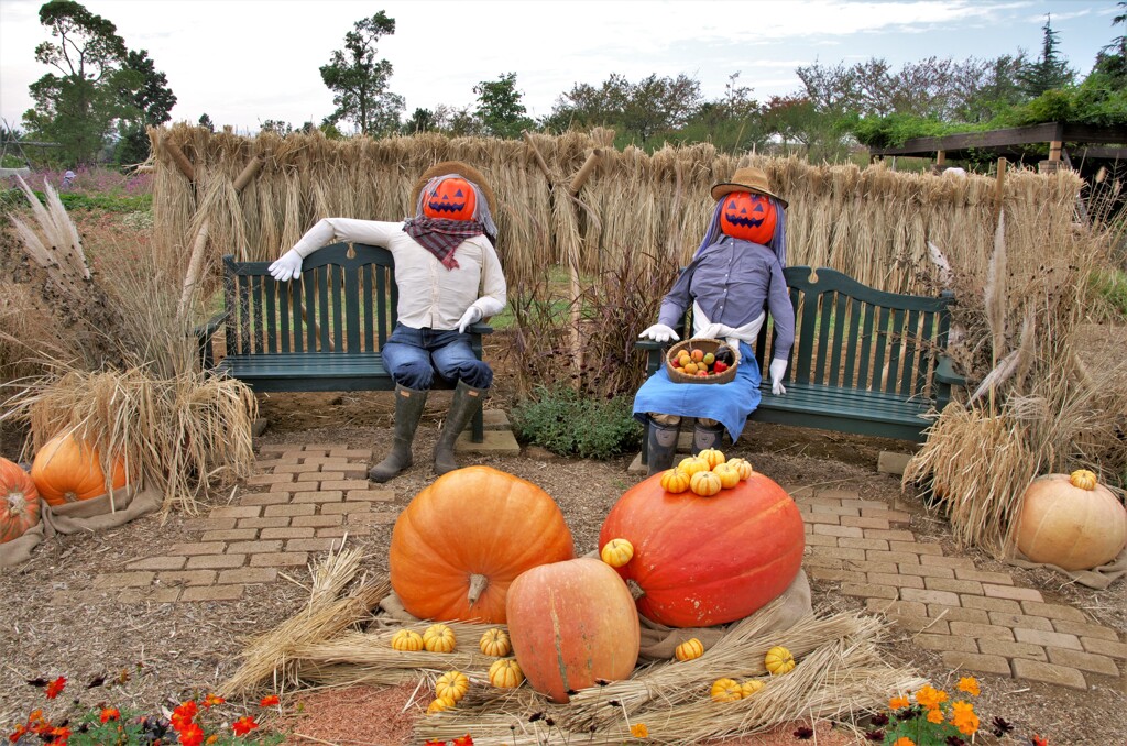 植物園のハロウィン：07