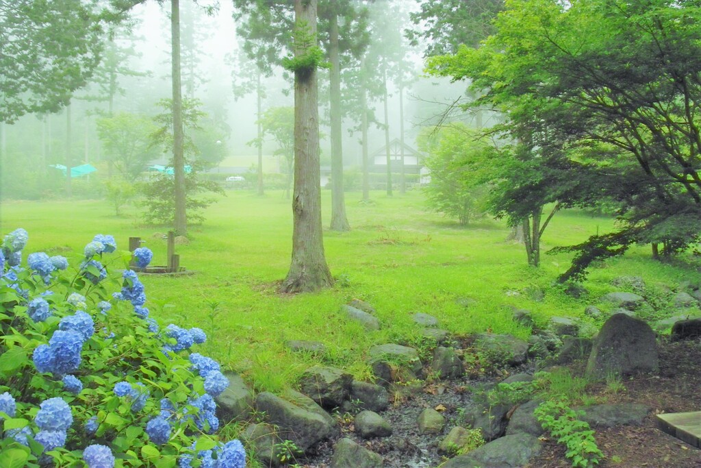 12年前の7月：高原