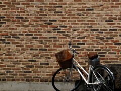 レンガ壁　自転車