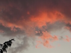 夕焼け：あかね雲